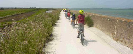 Vélos sur la piste cyclable en bord de mer